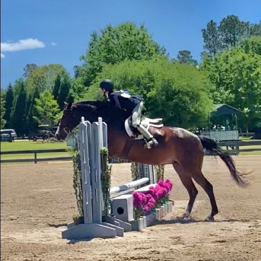 Meet your Posher, Christy